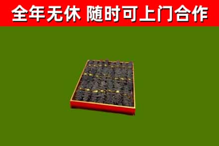 玉屏回收海参
